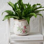 QGZXW Vintage Crackle Ceramic Plant Pot - Image 7